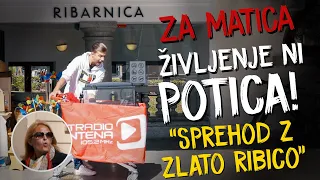 NAJBOLJ SLAVNA RIBA V SLOVENIJI!! | Za Matica, življenje NI potica