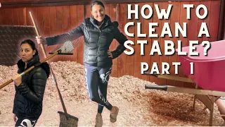 HOW TO CLEAN A STABLE (Part 1) - (Equestrian Education) How To Clean A Horse Stable