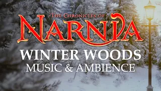 Chronicles of Narnia | Peaceful Winter Woods Music & Ambience in 4K