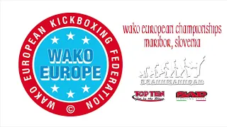 Nikita Selianskii v Pavol Garaj WAKO European Championships 2018