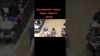 Социальный эксперимент. кто поднимет МУСОР