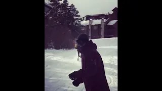 Moose on the Loose Chases Skiers at Colorado Resort