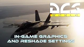 DCS graphics and reshade