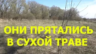 ВОЛОСЫ ВСТАЛИ ДЫБОМ ОТ ТАКОЙ ПРОГУЛКИ!