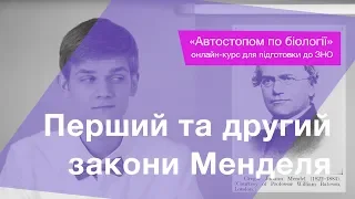 Перший та другий закони Менделя – Підготовка до ЗНО – Біологія