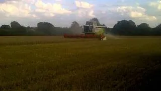 claas lexion terra trac cutting wheat