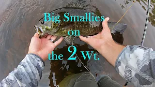 Fly Fishing: BIG Smallmouth on the 2WT - Streamer Fishing Low and Clear