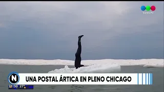 Una postal ártica en pleno Chicago