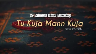 Tu Kuja Mann Kuja Slowed Reverb|| Sukoon - Vibes|| Shiraz Uppal & Rafaqat Ali Khan|| Coke Studio||