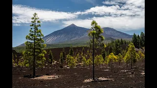 TENERIFE - týden na báječném ostrově s CK Periscope svět a jejími průvodci