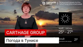 Погода в Тунисе