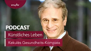 #27: Künstliche menschliche Embryonen | Podcast Kekulés Gesundheits-Kompass | MDR