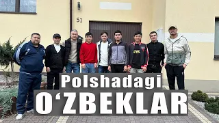 POLSHADAGI O'ZBEKLAR!!! Polshada yotoqxona sharoiti, Pochta skladida ish.#polsha #polshadaish