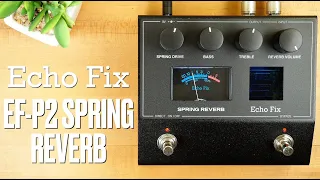 Echo Fix EF-P2 Spring Reverb
