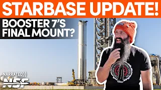 Is Starship Booster 7 Returning to the Pad This Week? | Starbase Update