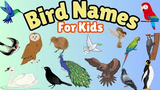 🦜🦚🦅BIRD NAMES FOR KIDS | ENGLISH VOCABULARY | #animalnames  #educationalvideos