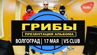 Грибы в Волгограде Волжский VS Club| Тает лед| Это Волгоград, детка