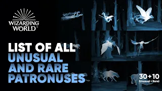 All Patronuses on Wizarding World (Pottermore) || 'Unusual & Rare' List || Hogwarts Legacy