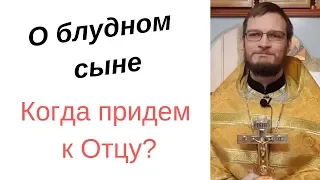 О блудном сыне. Почему мы не идем к Богу?