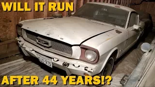 Forgotten 1965 Mustang First Start in 44 Years, Fastback Revival Part 1!