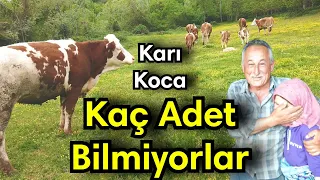 Köyde Büyükbaş Hayvancılık