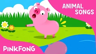 Apakah Anda Pernah Lihat My Tail? | Lagu hewan | PINKFONG Lagu untuk Anak-anak