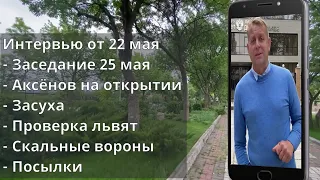 Полное интервью Олега Зубкова 22 мая