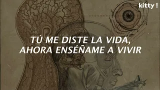 Audioslave - Show Me How To Live ~ Letra:Español
