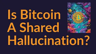 Is Bitcoin A Shared Hallucination?