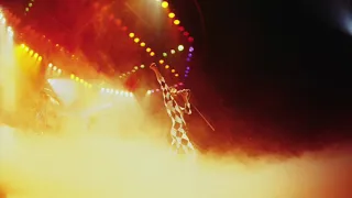 Queen - Live in Chicago (1977-12-05) [B-]