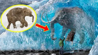 5 FROZEN MAMMOTHS You Won't Believe Were Found ❄️