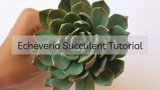 Succulent Tutorial by Arati Mirji