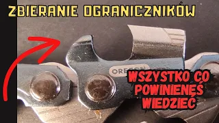 Ogranicznik w łańcuchu pilarki. Wszystko co musisz wiedzieć!