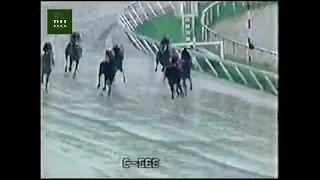 La triple corona del año 1996 en Venezuela. Hipismo Historico. Recuerdos inolvidables.