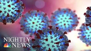 Measles Defies Local And International Boundaries | NBC Nightly News