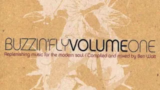 BUZZIN ´FLY VOL 1 Replenishing music for the modern soul  mixed by Ben Watt