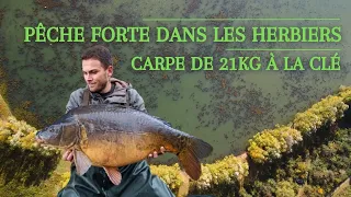 Pêche forte dans les herbiers (Carpe de 21kg à la clé 💪)