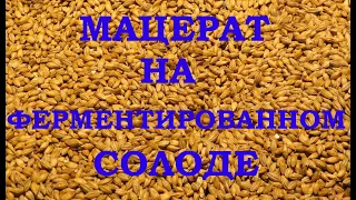 Мацерат на ферментированном солоде