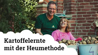 Kartoffelernte 2021 | Von den Versuchshochbeeten gepflanzt mit der Heumethode 🥔🌱