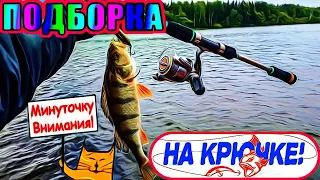 Случаи на рыбалке//Приколы на рыбалке//Зимняя рыбалка//Трофейная рыбалка 2021//ВЕСЁЛАЯ РЫБАЛКА//