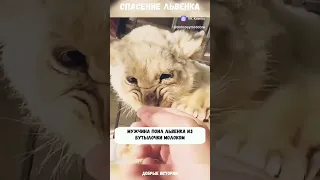 закон Джунглей жесток 😨