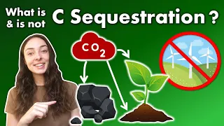 What is Carbon Sequestration, Why is it Important, & How does it Work? | GEO GIRL