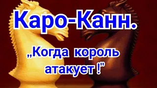 28)Лекция. Каро-Канн.  ,,Когда король атакует !"  Дюкштейн-Петросян.0-1. 1962г. Шахматы