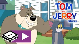 The Tom and Jerry Show | Big Dog | Boomerang UK 🇬🇧