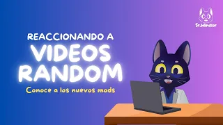 🔴 Stream de reacciones insanas 🔴 Conoce a los mods del canal 🔴