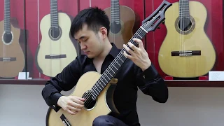 Canon in D - Pachelbel "Classical Guitar" (Steven Law)