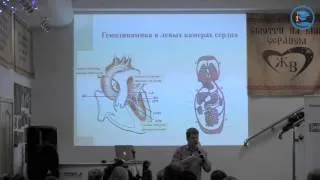 «Гипертрофическая кардиомиопатия у кошек» А. Г. Комолов в ВЦ ЗООВЕТ