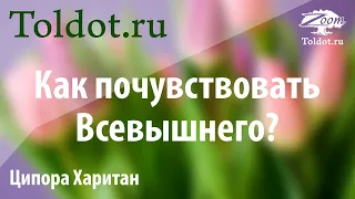 [2 часть] Как найти Всевышнего и почувствовать, что Он нашел тебя? Ципора Харитан