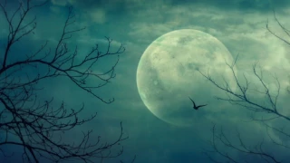 LILA GODDESS MUSIC- Moon Dance - Enchanting Evocative Vocals