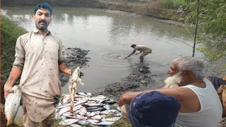 مچھلی 🐟 پکڑنے کا پروگرام ہمارے فارم پر